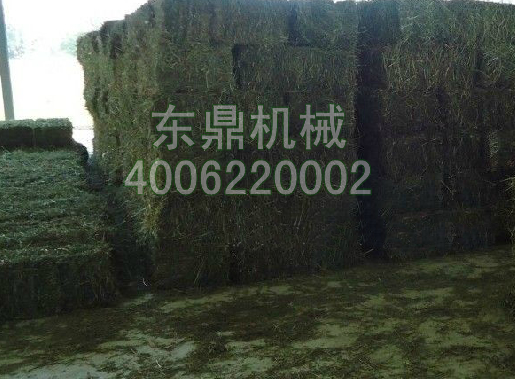 網(wǎng)帶牧草烘干機